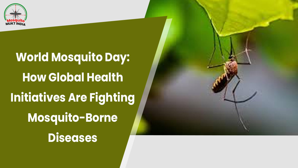 World Mosquito Day 2024: How Global Health Initiatives Are Fighting Mosquito-Borne Diseases